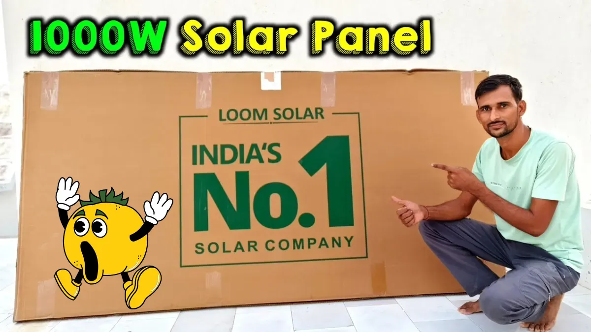 Loom Solar Shark